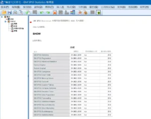 IBM SPSS Kuyhaa