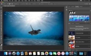 Adobe Photoshop 2021 Full Terbaru